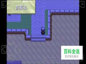 口袋妖怪漆黑的魅影凯那市剧情攻略