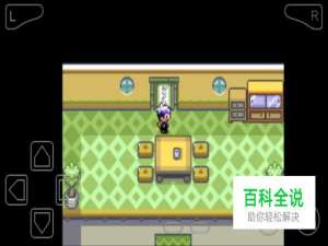 口袋妖怪漆黑的魅影奇妙的戏法屋攻略