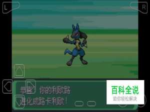 口袋妖怪漆黑的魅影利欧路怎么进化