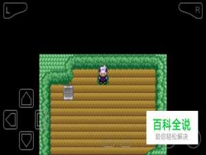 口袋妖怪漆黑的魅影怎么建立秘密基地