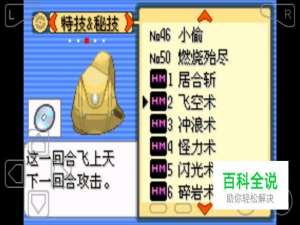 口袋妖怪漆黑的魅影怎么使用飞空术