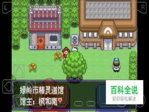 口袋妖怪漆黑的魅影绿岭市道馆攻略