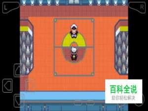 口袋妖怪漆黑的魅影一周目龙系天王攻略