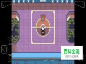 口袋妖怪漆黑的魅影幽灵系天王攻略