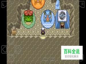 口袋妖怪漆黑的魅影二周目小绿攻略