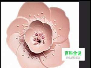 抠图后如何快速去除杂边