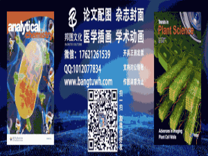 锂电池知识入门（锂电池基础知识）