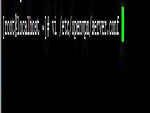 linux下,如何把openvp到80端口改成8081