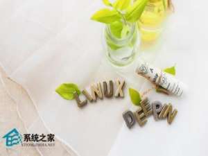 Linux系统中如何查看和修改DNS配置