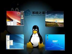 Linux系统中在虚拟机上搭建DB2 pureScale的方法