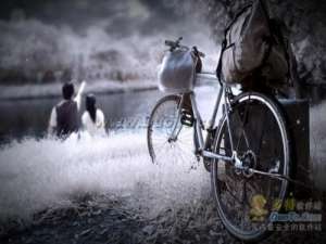 浪漫flash动画QQ空间情侣模块