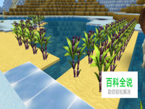 迷你世界怎么种甘蔗