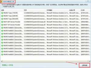 lsp修复工具解析