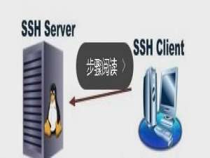 两台Linux系统主机建立ssh信任关系的过程