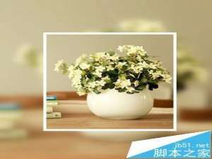 美图秀秀背景虚化特效该怎么做?美图秀秀虚拟背景的制作方法