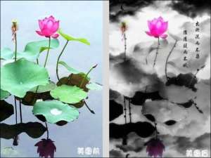 美图秀秀教你将荷花图片打造出水墨画风格效果