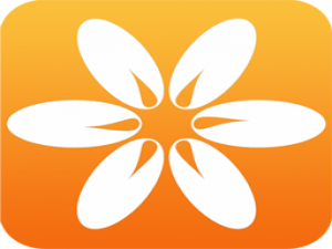 米侠浏览器怎么收藏网址?