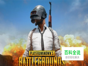 雷音吃鸡设置教程