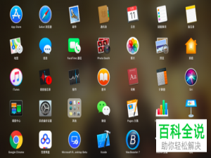 Mac电脑如何使用Pages样式刷功能