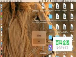 Mac OS X 快速切换中英文输入法的快捷键是什么?