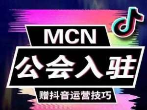 mcn机构靠谱吗（通过以下几个方面对MCN机构做基本的背景调查）