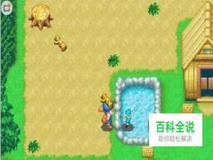 牧场物语矿石镇鱼竿获取方法