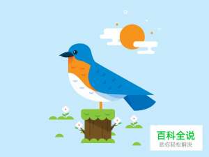 鸟儿小插画【临摹】