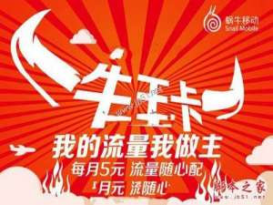 牛王卡是什么？蜗牛移动的牛王卡有几种资费包？