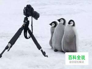 你真的会用三脚架吗？