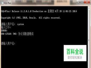 ORA-12560:TNS:协议器错误