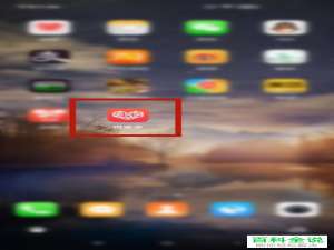 拼多多APP中的先用后付功能怎么开通