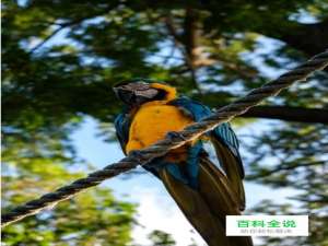 PDF文件怎么修改文件内容