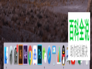 苹果电脑MacBook桌面正下方的图标消失不见的解决方法