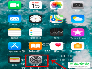苹果iphone手机中自带输入法的自动记忆的自造词如何删除