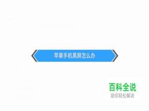 苹果手机黑屏怎么办