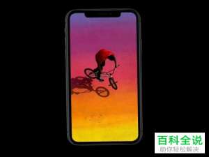 苹果手机iPhone XR关机充电无显示的原因