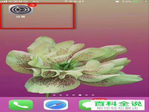 苹果手机打电话时有噪声怎么清除