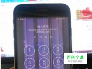 苹果x进水导致屏幕失灵怎么办