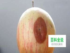 Photoshop污点修复工具使用方法