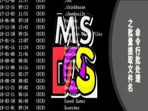 批量提取文件夹的名称（将所有文件名批量提取）