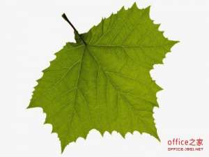 PPT中插入图片的背景色如何除去?