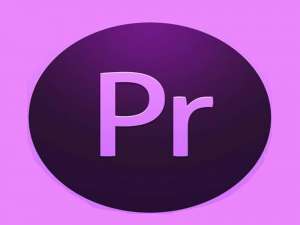 Premiere2018怎么制作搞笑的音乐萎缩效果?