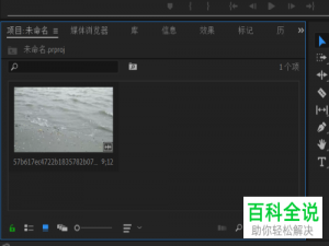 PR软件怎么替换视频画面目标颜色