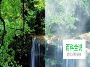 PS技巧之如何做云雾效果