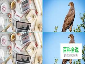 PS如何为你画布画一条居中的辅助线