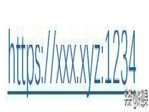 PVE虚拟平台设置域名访问的教程