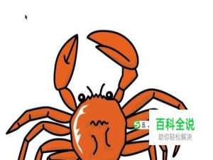 螃蟹图片设计