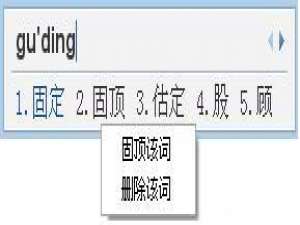 QQ拼音如何设置候选词固顶