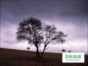 齐凤臣风光摄影创作经验谈