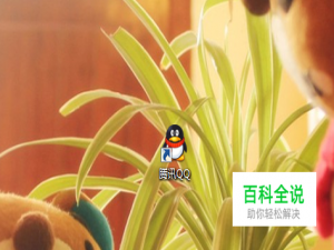 如何撤回发过的QQ消息内容